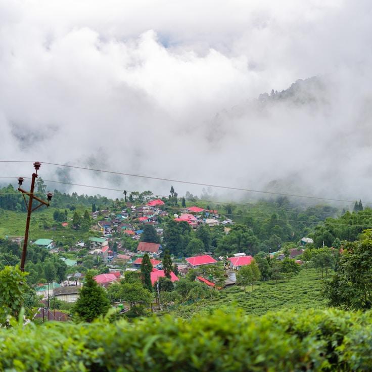 Outdoor terrace seating suitable for families in Ottawa